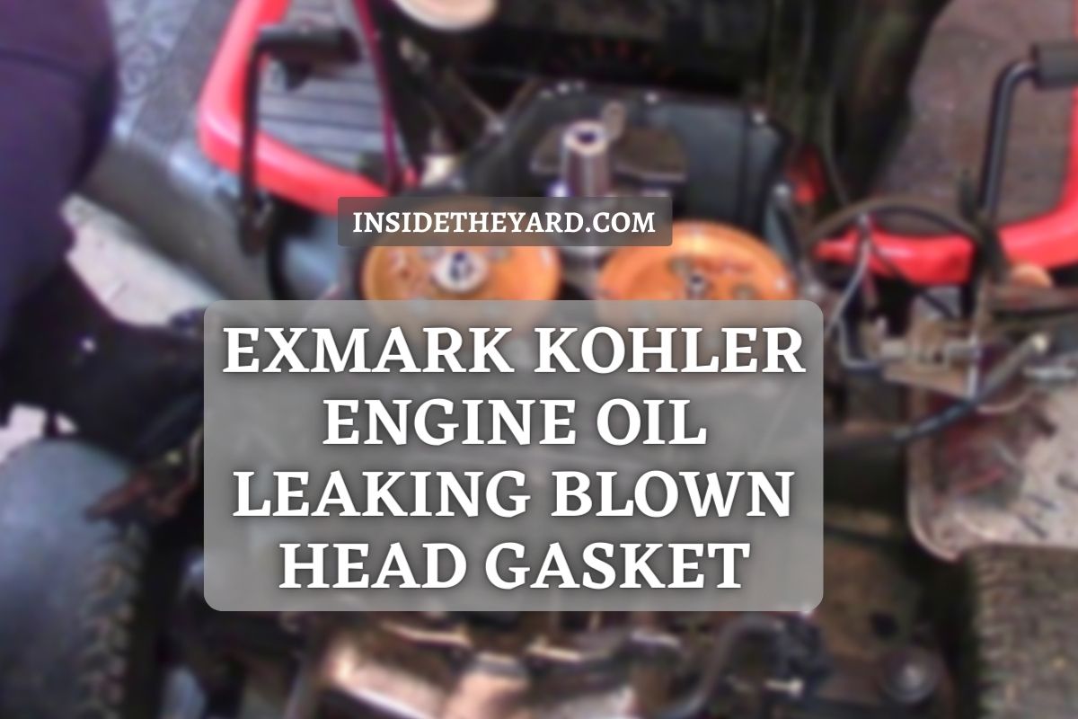 Exmark Kohler Engine Oil Leaking Blown Head Gasket Repair Or Replace