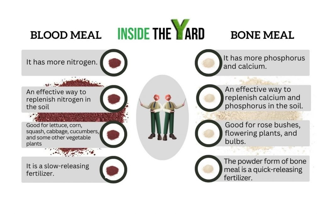 a quick overview for blood meal vs bone meal