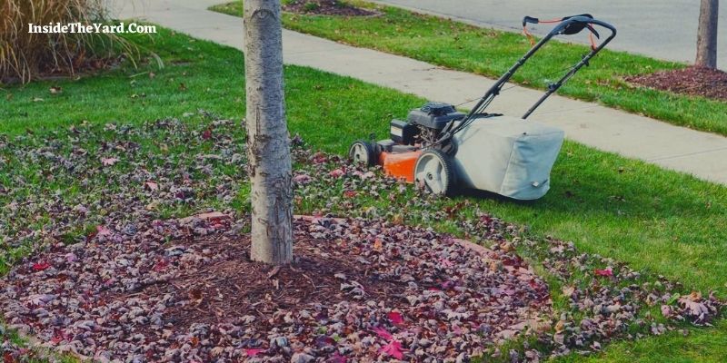 TerraKing review: Slay autumn leaves with TerraKing's riding mower