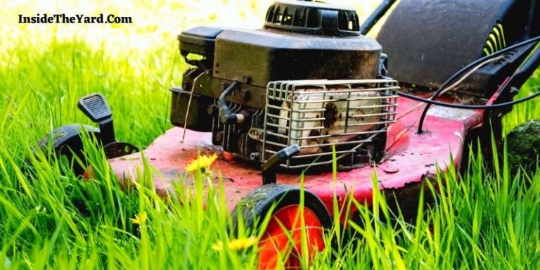 is-it-illegal-to-not-mow-your-lawn-do-you-know-the-law