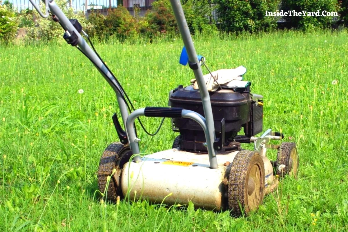 is-it-illegal-to-not-mow-your-lawn-do-you-know-the-law