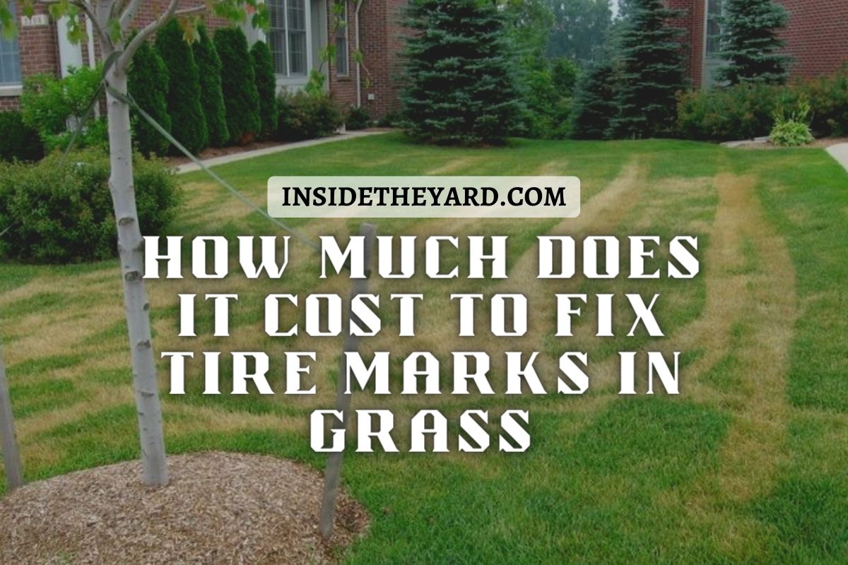 how-much-does-it-cost-to-fix-tire-marks-in-grass-all-expenses-revealed