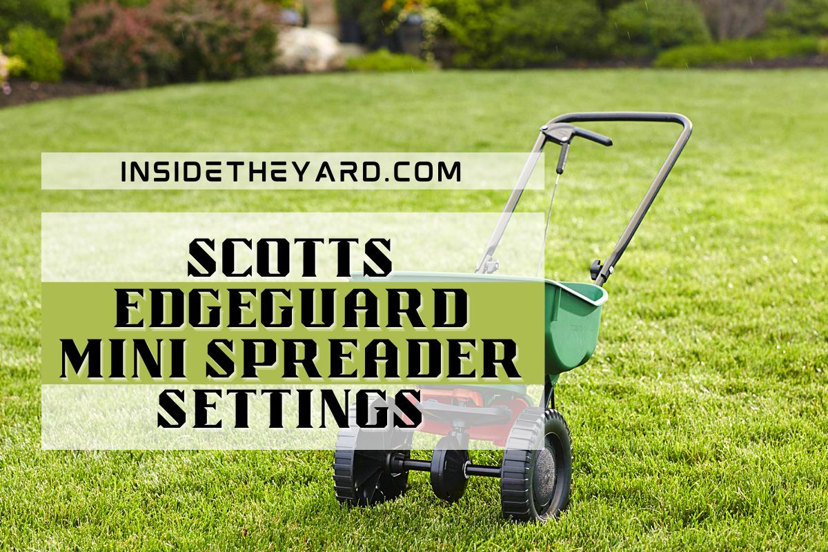 Scotts Turf Builder EdgeGuard Mini épandeur de diffusion