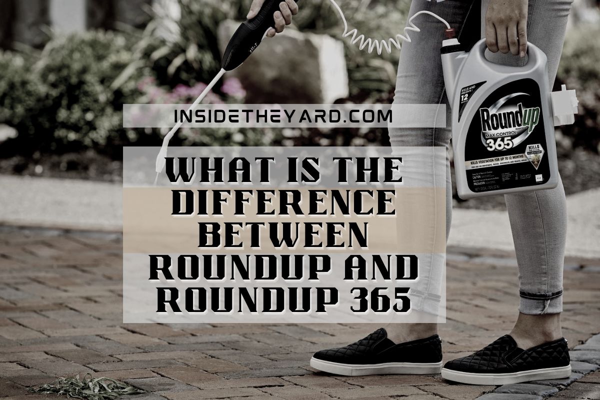 What Is The Difference Between Roundup And Roundup 365