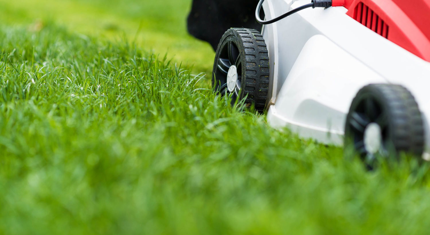 lawn mower in green lawn